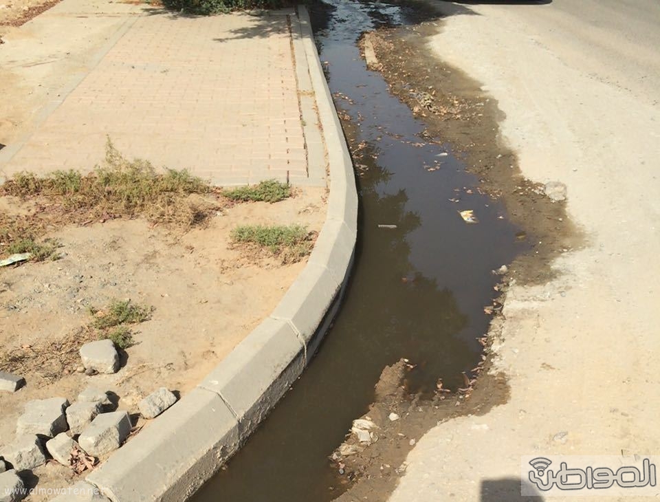 مياه الصرف الصحي تؤرق أهالي حي الورود بجدة (2)