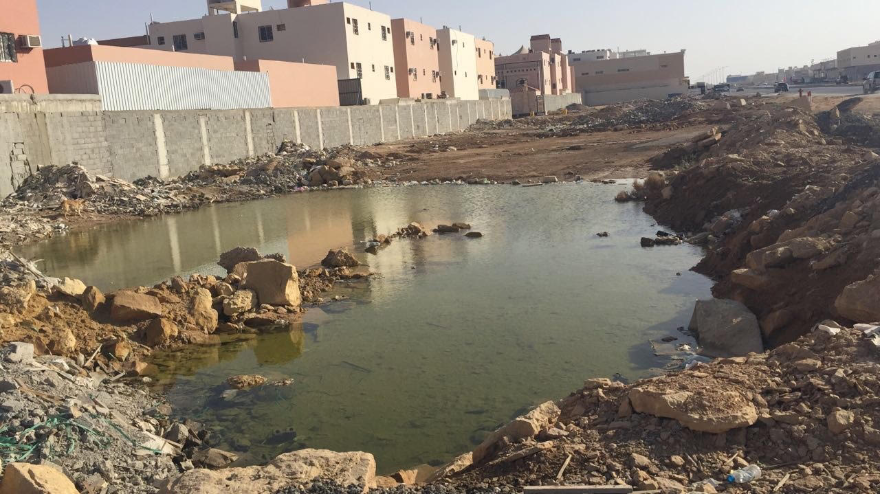 بالصور.. #معاناة_حي_الموسى_بالرياض.. مياه صرف وبعوض وأمراض وبائية