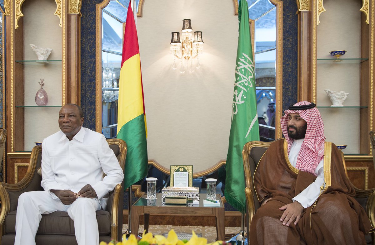 بالصور.. نائب الملك يبحث العلاقات الثنائية مع رئيس غينيا