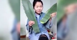شاهد.. امرأة تأكل نباتاً ساماً خلال بث مباشر على الإنترنت