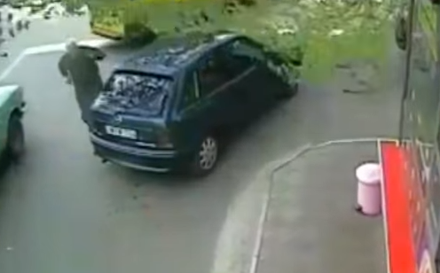 بالفيديو.. نجاة مُسن من الموت المحقق سقطت شجرة على سيارته