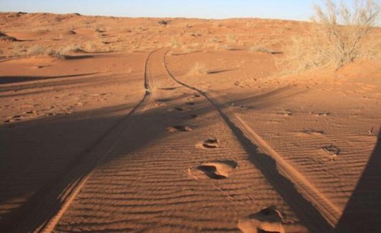 مصرع خمسيني علقت سيارته في الرمال بـ”نفود حائل”