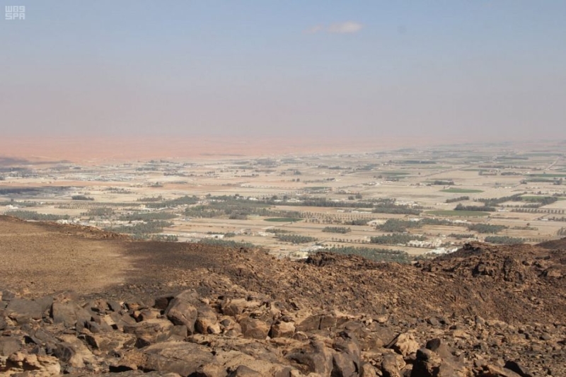 وظائف نسائية في مصلحة الزكاة والدخل