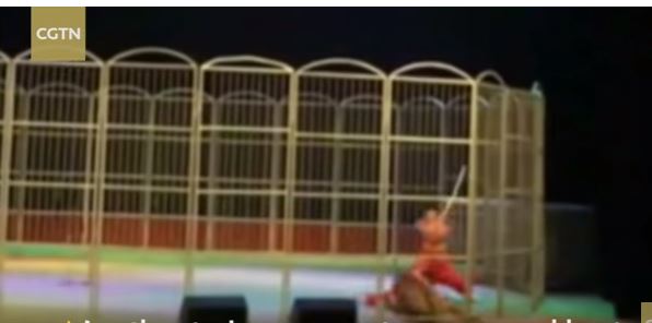 بالفيديو.. نمر يفترس مدربه في عرض سيرك أمام الجمهور