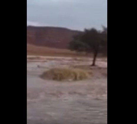 4 شبان يخاطرون بالسباحة في سيل جارف