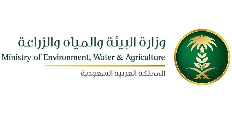 هنا رابط التقديم على 213 وظيفة شاغرة في وزارة البيئة والمياه والزراعة