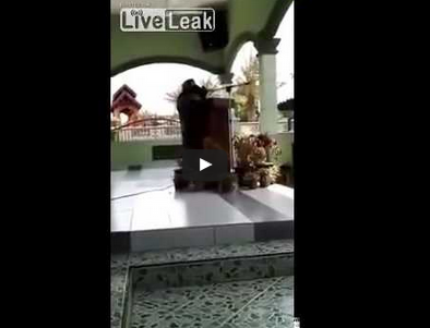 بالفيديو.. وفاة داعية إسلامية أثناء دعائها