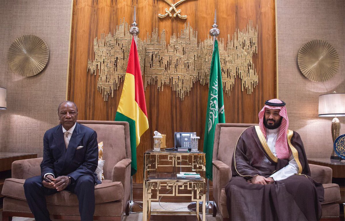ولي ولي العهد يبحث تعزيز العلاقات المشتركة مع رئيس غينيا